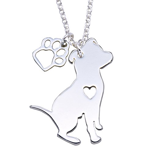 regalos collar perro nombre